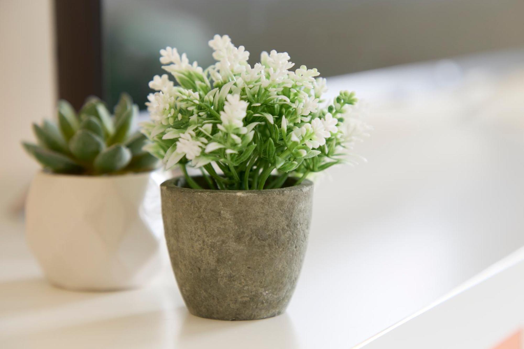 Central London Flat, Stylish 1Br Near Shoreditch Экстерьер фото